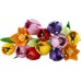 LEGO Botanicals Tulip Bouquet (11501)