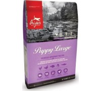 Orijen ORIJEN PUPPY LARGE - 11,4KG