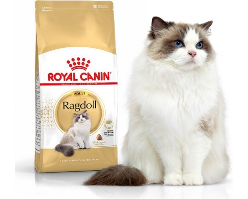 Royal Canin Ragdol Adult karma sucha dla kotów adults rasy ragdoll 10kg