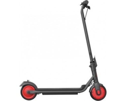 Segway Zing C20