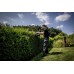 Metabo Metabo HS 18 LTX 55V Cordless Hedgecutter