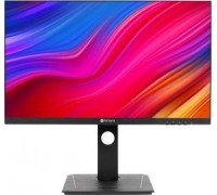 AG Neovo DW2401
