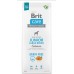 Brit BRIT CARE DOG GRAIN FREE JUNIOR LARGE SALMON - 12KG