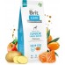 Brit BRIT CARE DOG GRAIN FREE JUNIOR LARGE SALMON - 12KG