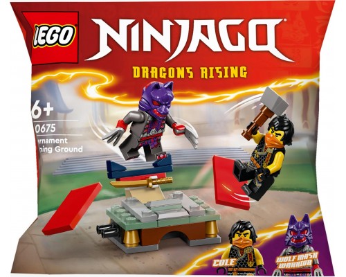 Игроки LEGO Ninjago (30675)