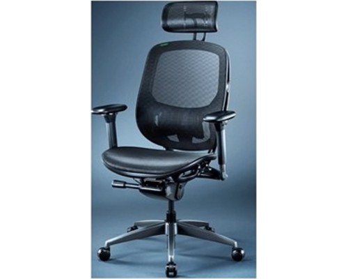 Razer Razer Fujin Pro, mesh (Black, incl. 3-D headrest)