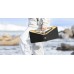BUGANI Brief Pro - black+gold - Portable głośnik Bluetooth