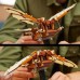 LEGO Leonardo da Vinci's Flying Machine (10363)