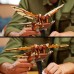LEGO Leonardo da Vinci's Flying Machine (10363)