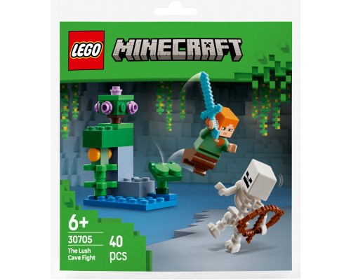 LEGO 30705 MINECRAFT Būnija alas pastaiga