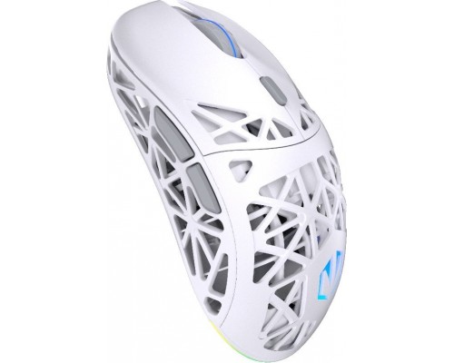 Endorfy LIV Plus Wireless  (EY6A017)