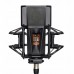 Lewitt PURE TUBE Studio Set