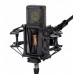 Lewitt PURE TUBE Studio Set
