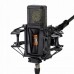 Lewitt PURE TUBE Studio Set