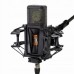 Lewitt PURE TUBE Studio Set