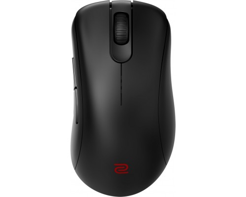 Zowie BenQ EC2-DW 4K