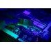 GoodRam CSODIMM, DDR5, 32 GB, 6400 MHz, CL52 (GR00C5-64L52S/32GDC)
