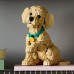 LEGO Icons Szczeniak golden retriever (11384)