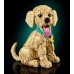 LEGO Icons Szczeniak golden retriever (11384)