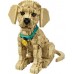 LEGO Icons Szczeniak golden retriever (11384)