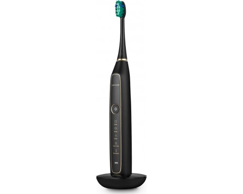 Brush Seysso Gold SE03B Black