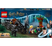 LEGO Harry Potter Testrale i kareta z Hogwartu™ (76400)