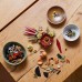 LEGO Icons Žāvētu ziedu centrs (10314)