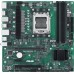 AMD B650 Asus PRO B650M-CT-CSM
