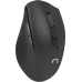 Natec Stingray (NZB-1440)