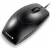 Cherry (M-5450)