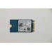 Lenovo SDK 1101 256G M.2 PCIe 2242 SS