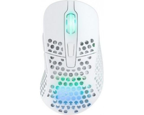 Xtrfy M4 Wireless  (M4W-RGB-WHITE)
