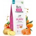 Brit Care Dog Grain-free Puppy Salmon - 12KG