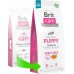 Brit Care Dog Grain-free Puppy Salmon - 12KG