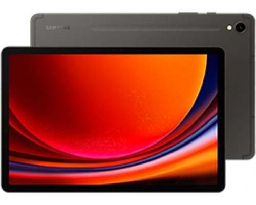 Samsung Galaxy Tab S9 11-inch 128 GB 5G Gray (SM-X716BWithAAEUB)