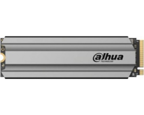 SSD Dahua Technology C900V 256GB M.2 2280 PCI-E x4 Gen3 NVMe (DHI-SSD-C900VN256G-B)