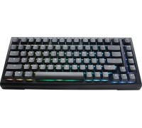Ducky Ducky Tinker 75 Gaming Keyboard, RGB, black - MX-Blue