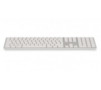 LMP WKB-1243 (22704)