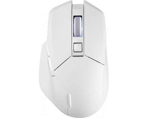 PowerColor ALPHYN AM10 WHITE