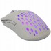 Baracuda BGM-022 Octopus biały