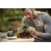 LEGO Icons Bonsai Tree (10281)