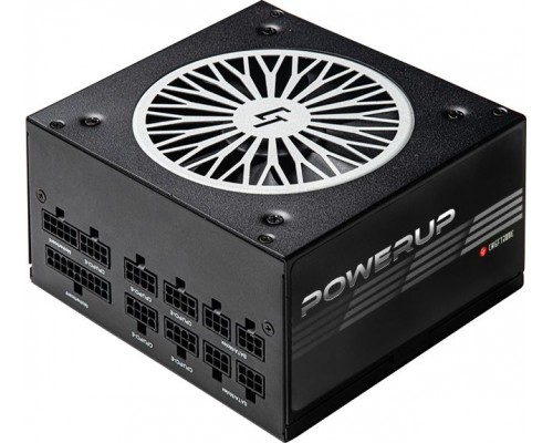 Chieftronic PowerUp 550W (GPX-550FC)