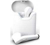 MustHavz White
