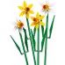 LEGO Icons Daffodils (40747)