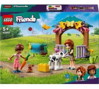 LEGO Friends Rudens mežs (42607)