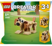LEGO Creator prezentāciju komplekts (30666)