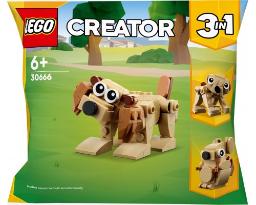 Презентационный набор LEGO Creator (30666)