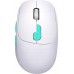 Defender Defender NITTA MM-307 1600dpi 2.4 GHz + Bluetooth biała AKUMULATOR
