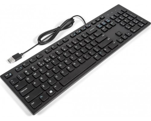 Dell  (KIT,KYBD,104,USEU,KB216-B,L)