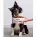 Josera Lamb&Rice Adult 3kg
